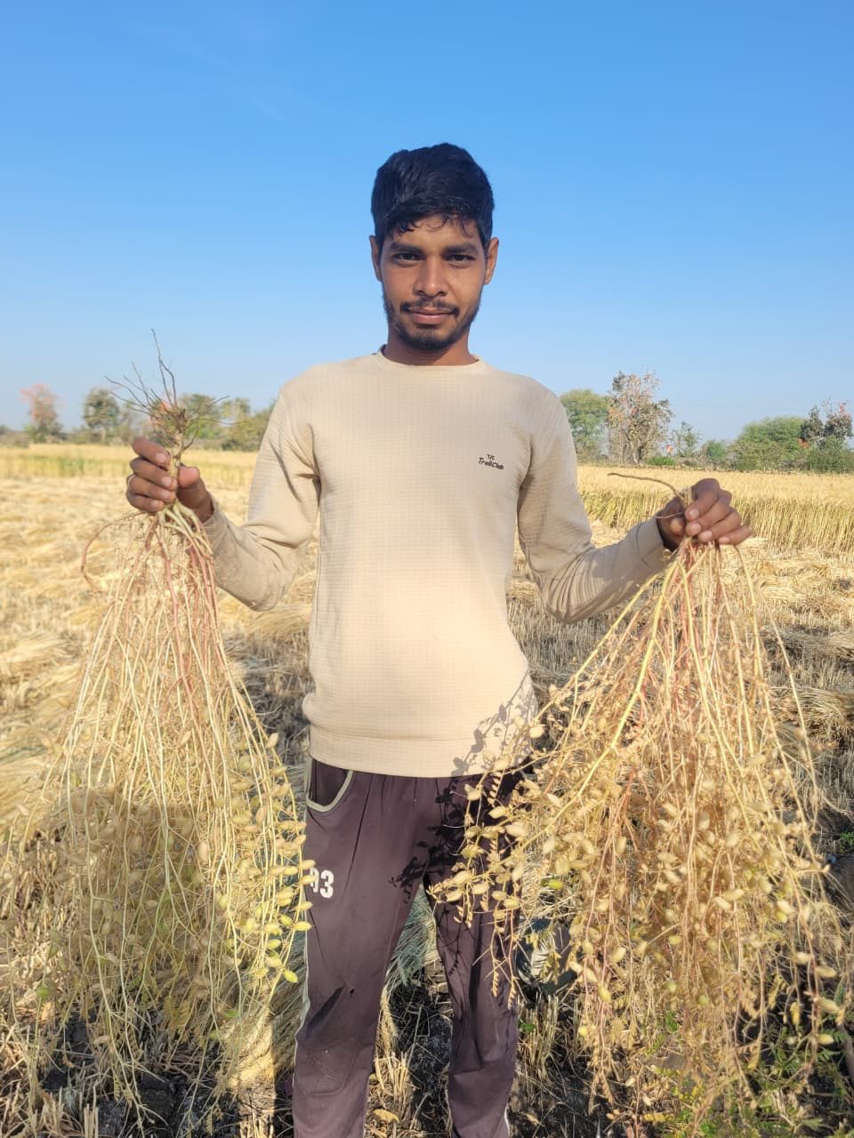 Harvest field