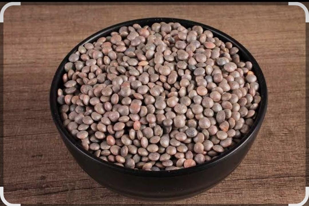 Masoor Seeds