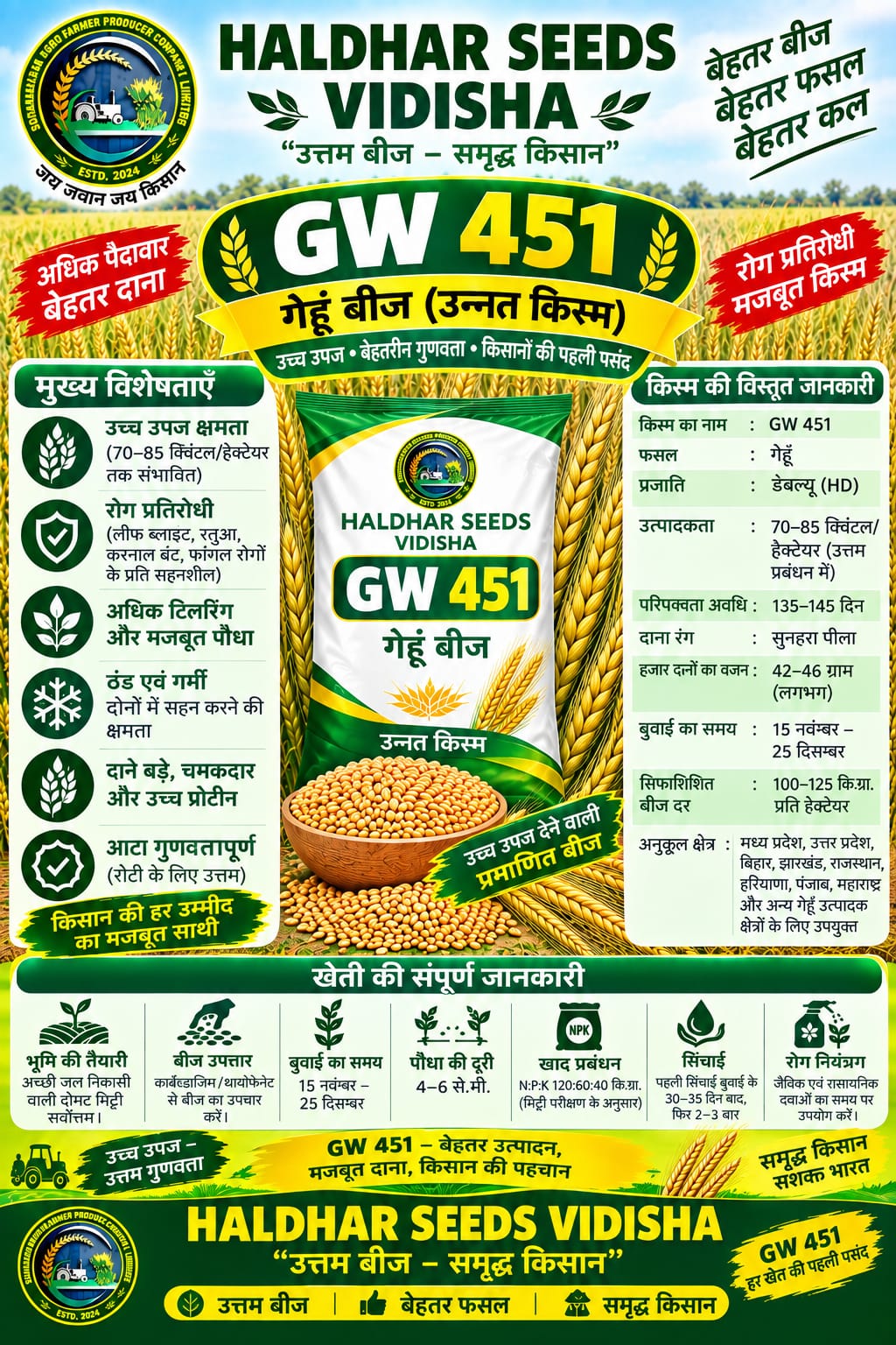 Haldhar Seeds GW 451 Wheat Seeds - 40 Kg