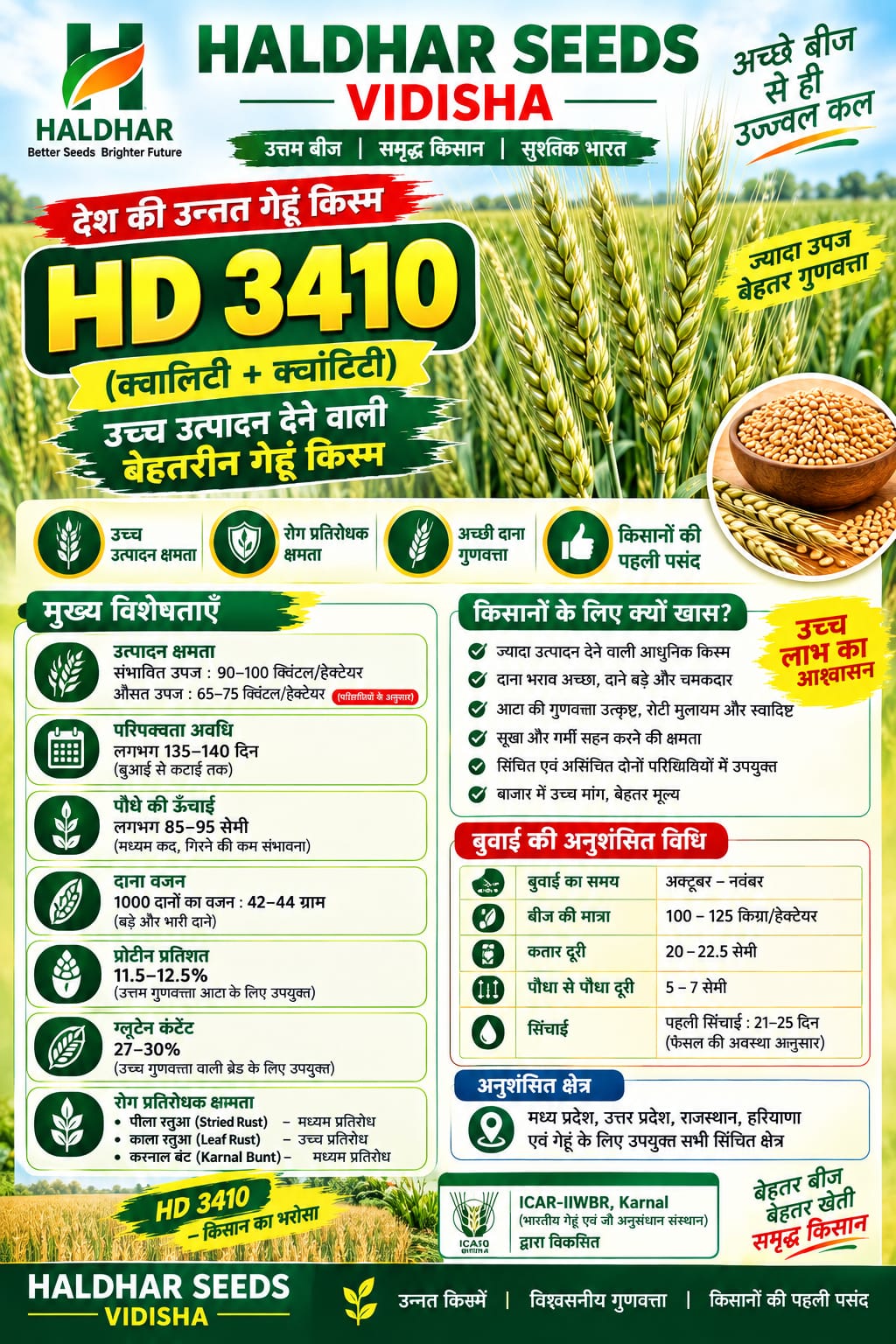 Haldhar Seeds HD 3410 Wheat Seeds - 40 Kg
