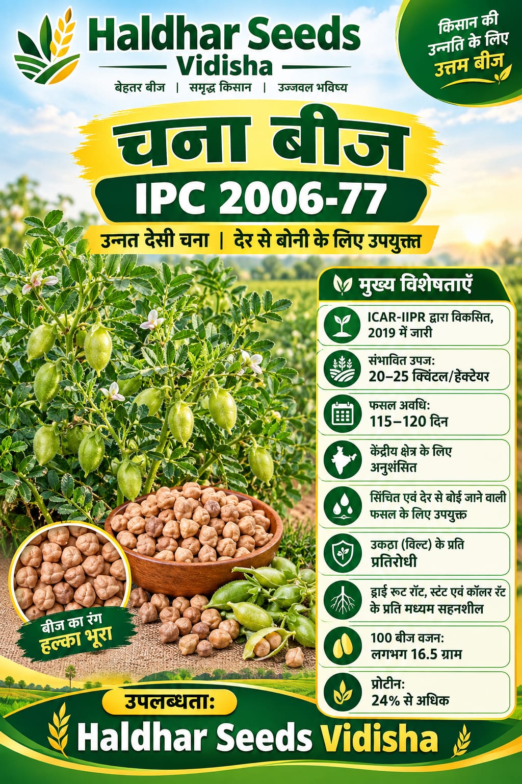 Chana Seeds