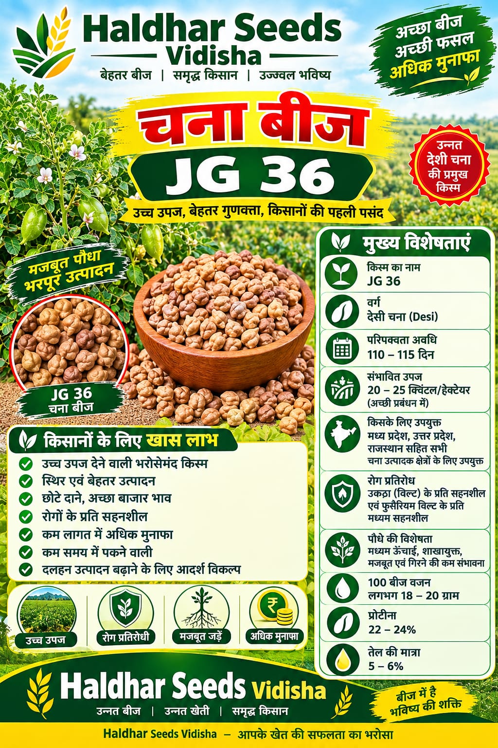 JG 36 Chana Seeds