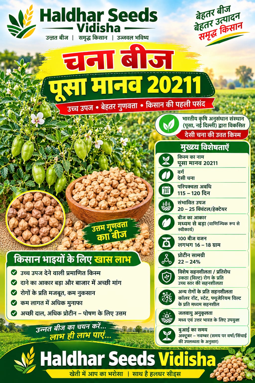Chana seeds