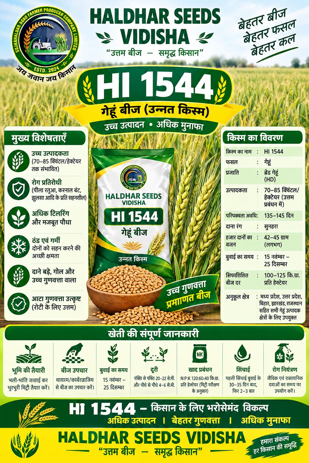 HI 1544 Wheat Seeds - 10 Kg