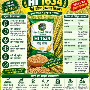 HI 1634 Wheat Seeds - 10 Kg
