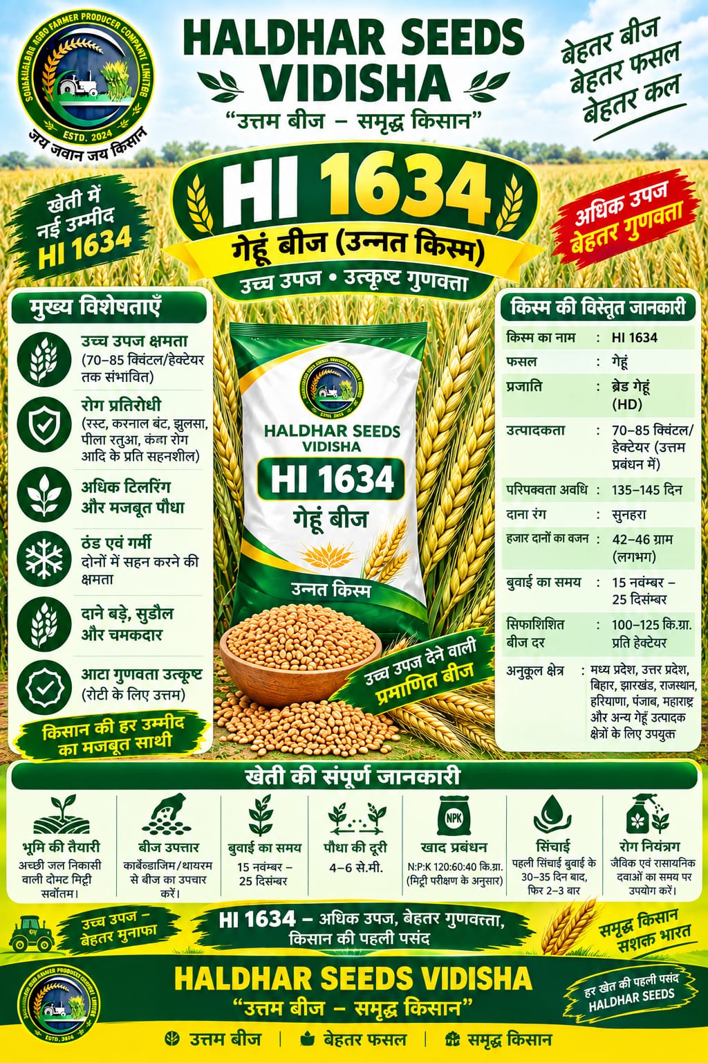 HI 1634 Wheat Seeds - 10 Kg