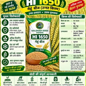 HI 1650 Wheat Seeds - 10 Kg
