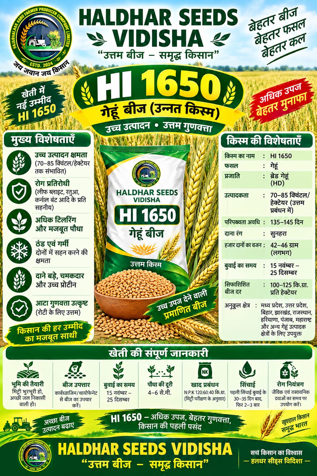 HI 1650 Wheat Seeds - 10 Kg