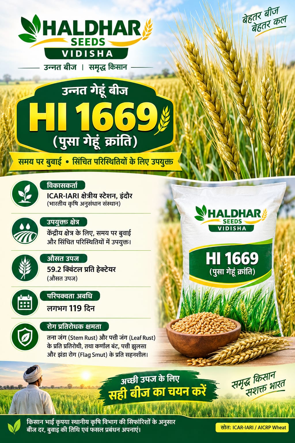 HI 1669 Wheat Seeds - 10 Kg
