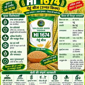 HI 1674 Wheat Seeds - 10 Kg