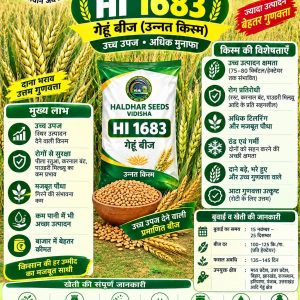 HI 1683 Wheat Seeds - 10 Kg