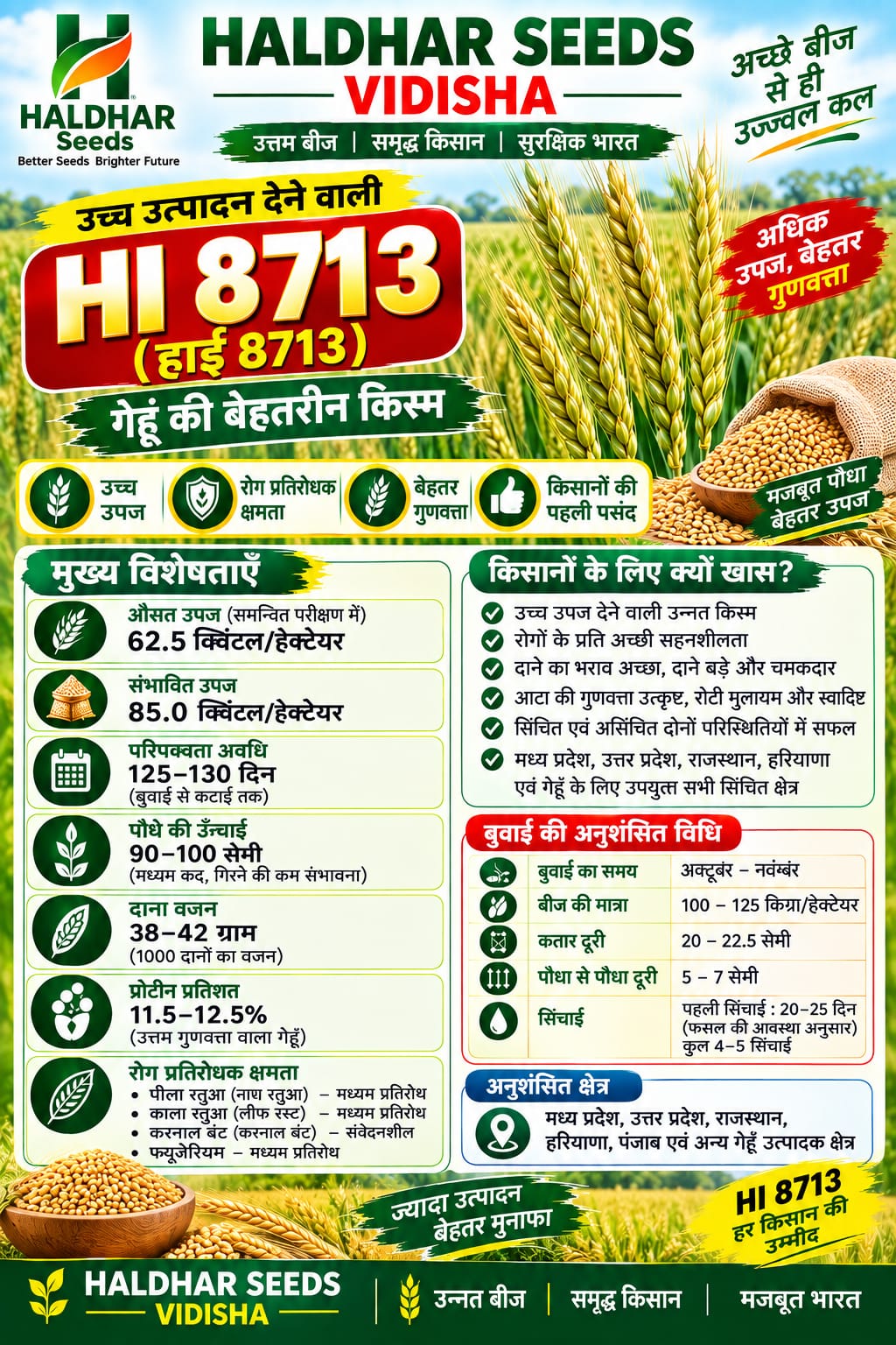 HI 8713 Wheat Seeds - 10 Kg
