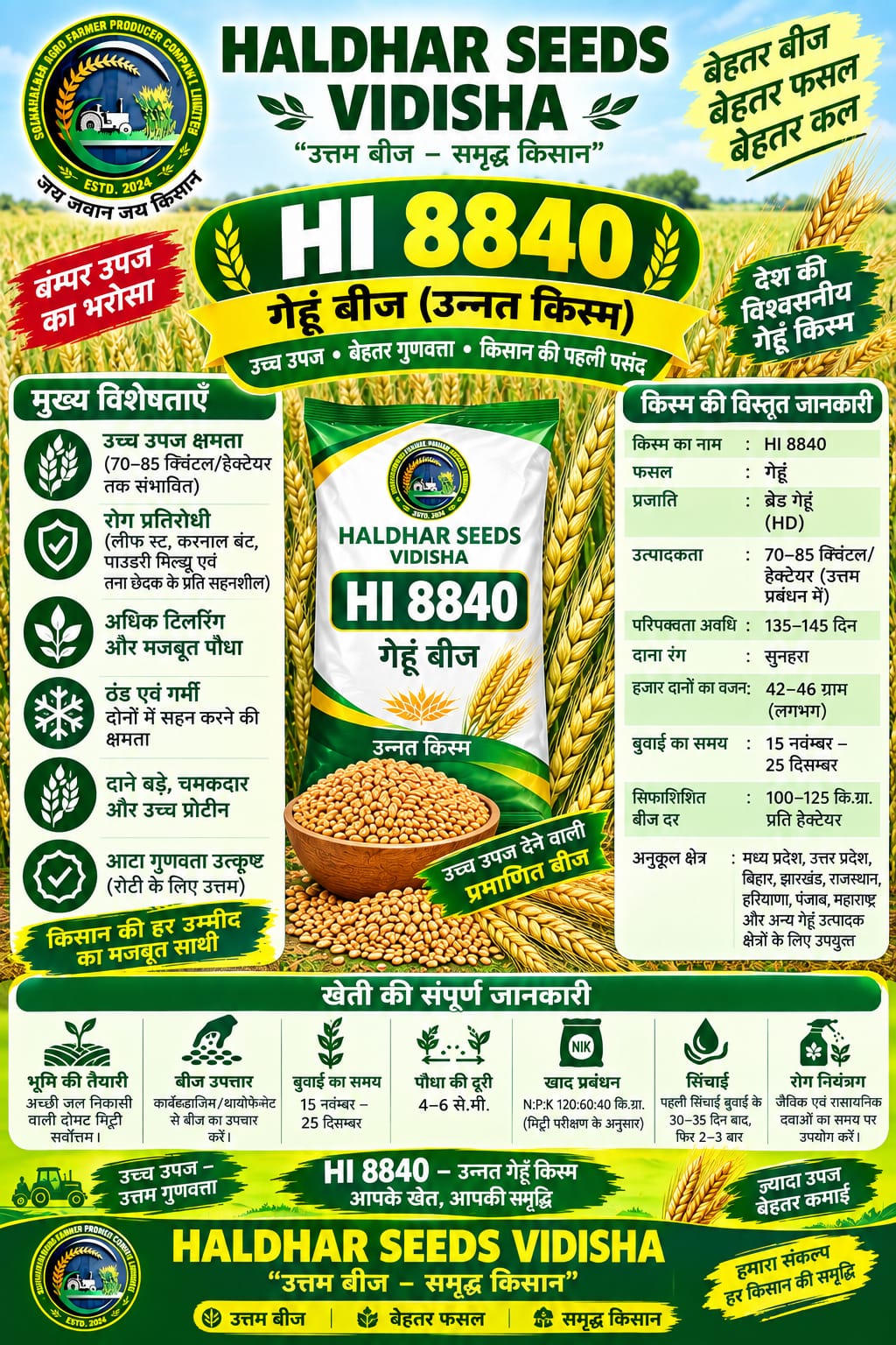 HI 8840 Wheat Seeds - 10 Kg