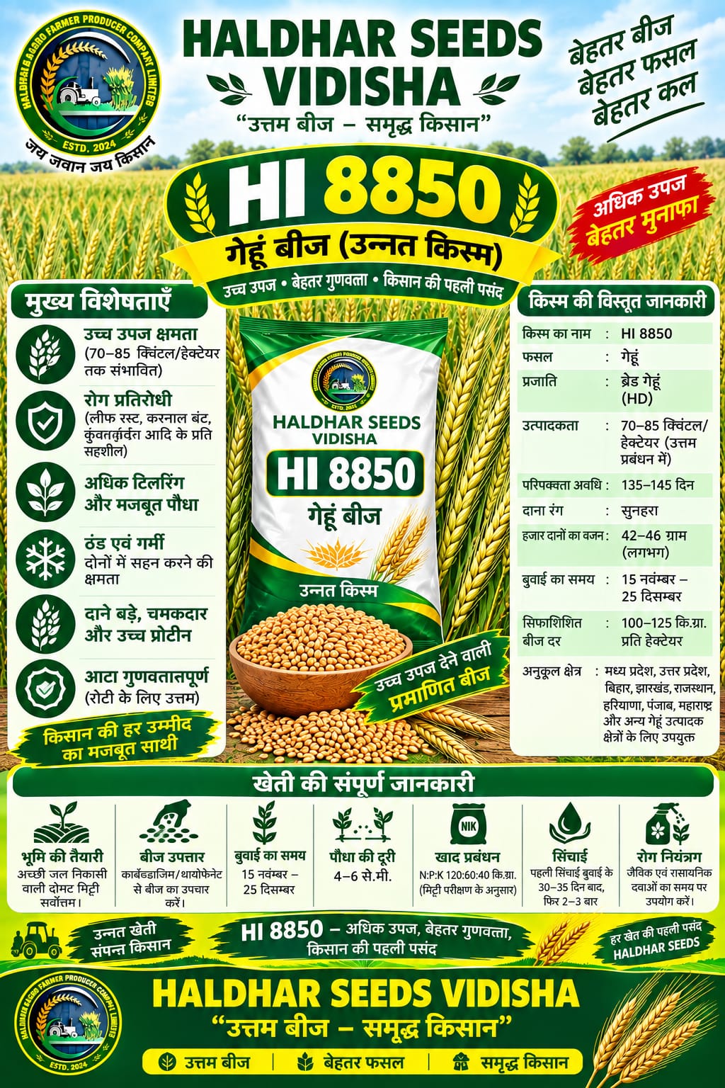 HI 8850 Wheat Seeds - 10 Kg