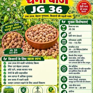 JG 36 Chana Seeds - 5 Kg
